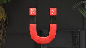 Stylized Magnet - Red