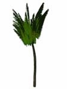 free palm bryce 3d model