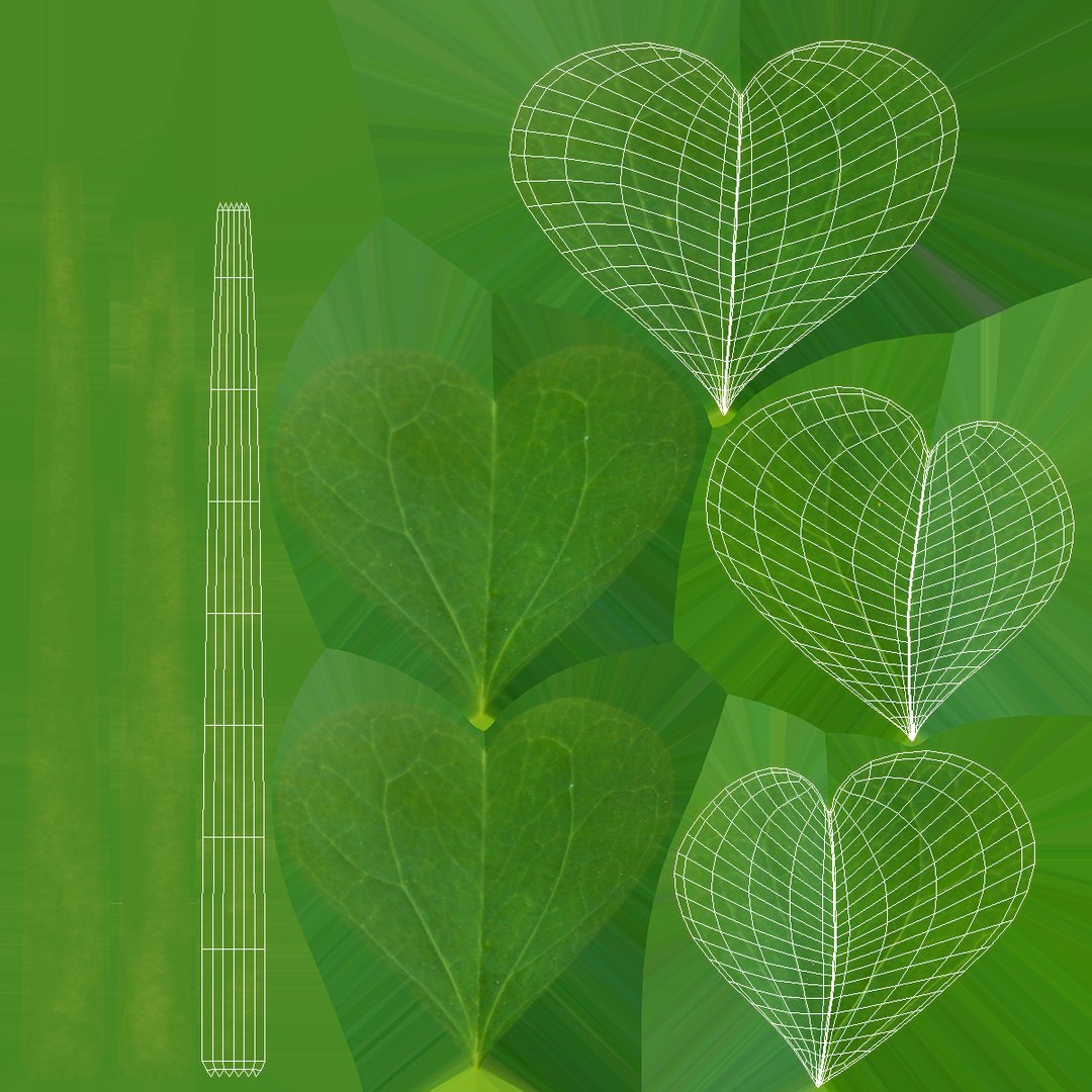 3D leaf clover model https://p.turbosquid.com/ts-thumb/or/Hiauzc/DHpi503c/threeleafclover3dsmodel011/jpg/1592352555/1920x1080/fit_q87/819c941ab0badebf57e72c6ff13a0ebc9a1a9444/threeleafclover3dsmodel011.jpg