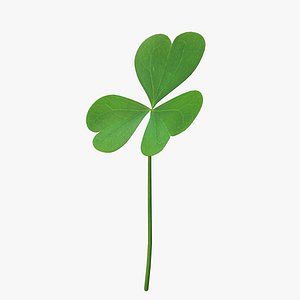 Three Leaf Clover