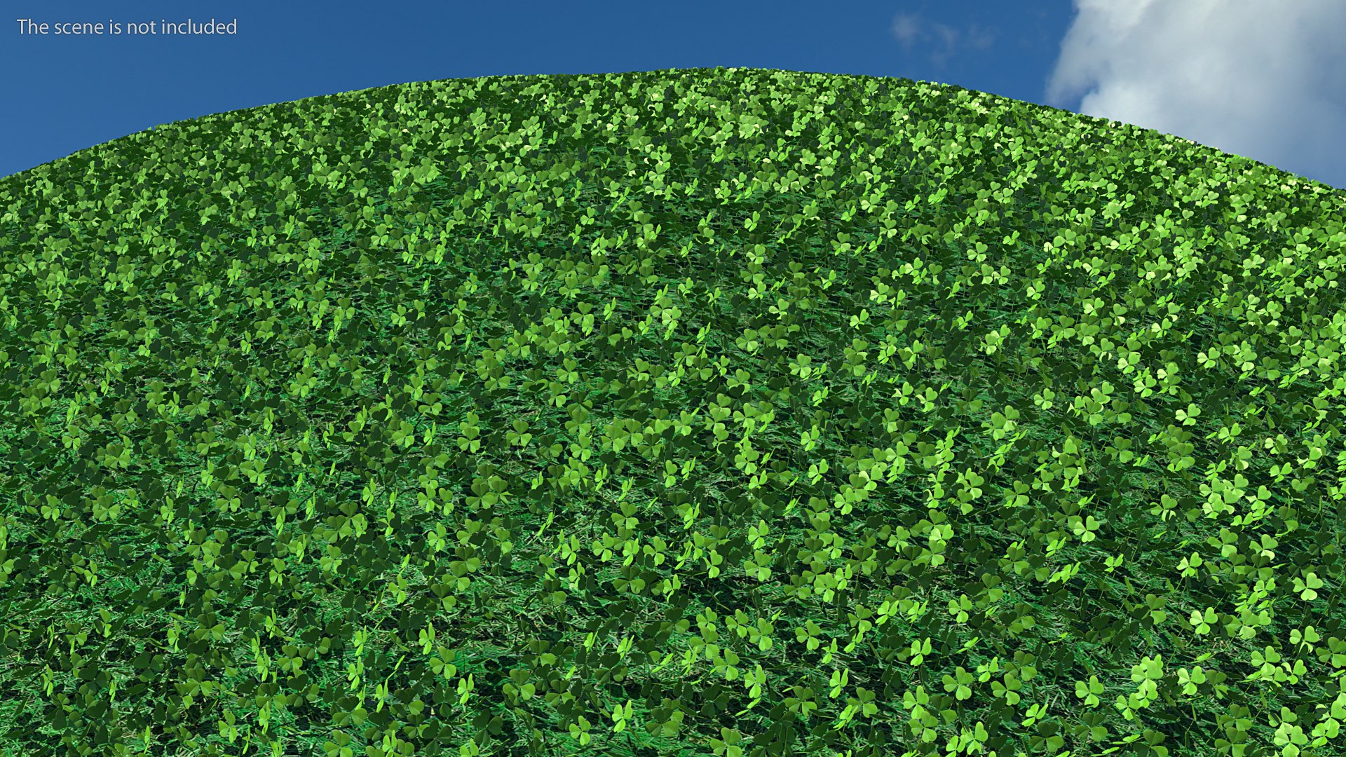 3D leaf clover model https://p.turbosquid.com/ts-thumb/or/Hiauzc/acnelOvl/threeleafclover3dsmodel003/jpg/1592352493/1920x1080/fit_q87/d8e3046b8b08dbbf4a507a321eeca61dd22752ff/threeleafclover3dsmodel003.jpg