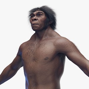 Neanderthal T-Pose Fur 3D Model $149 - .max - Free3D