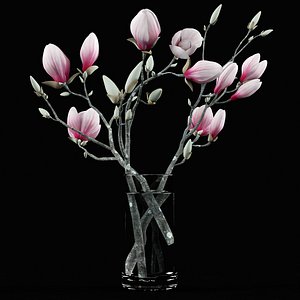 3d model bouquet magnolia flowers
