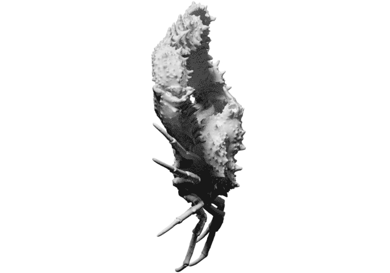 scan elbow crab obj free https://p.turbosquid.com/ts-thumb/or/ncBwlI/3gRVCjF1/4/jpg/1462965924/1920x1080/fit_q87/3307ec54b247b1e339d648885bd1d116bb8935d2/4.jpg