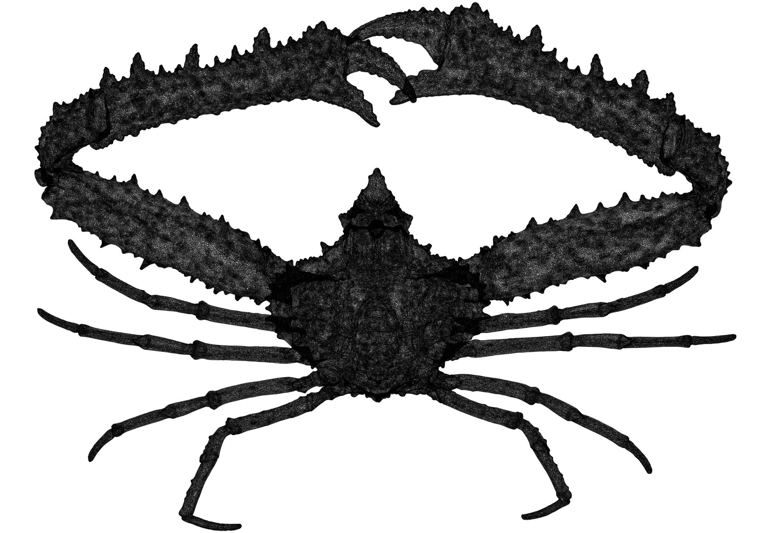 scan elbow crab obj free https://p.turbosquid.com/ts-thumb/or/ncBwlI/g6rP3o2q/image0001/png/1462965944/1920x1080/fit_q87/d6c3b87617c00b9562f3cff999beac21add679b4/image0001.jpg