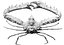 Elbow Crab.