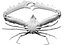 Elbow Crab.
