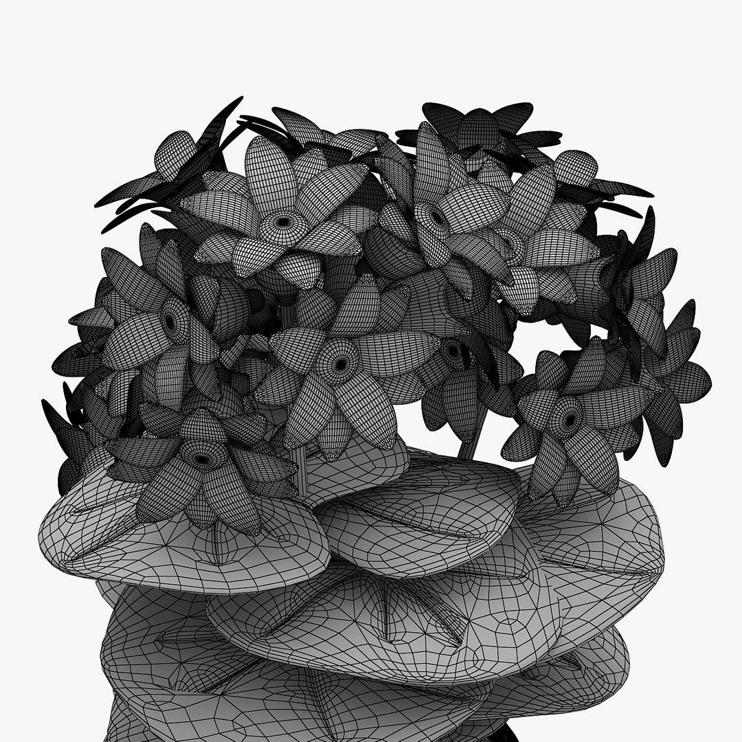 3D model flower https://p.turbosquid.com/ts-thumb/os/7bEHwx/2AmUo1Bf/01001/jpg/1565348702/1920x1080/fit_q87/39d585f0c2335358545c2b54aa26b8a438fe6101/01001.jpg