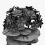 Flower 09