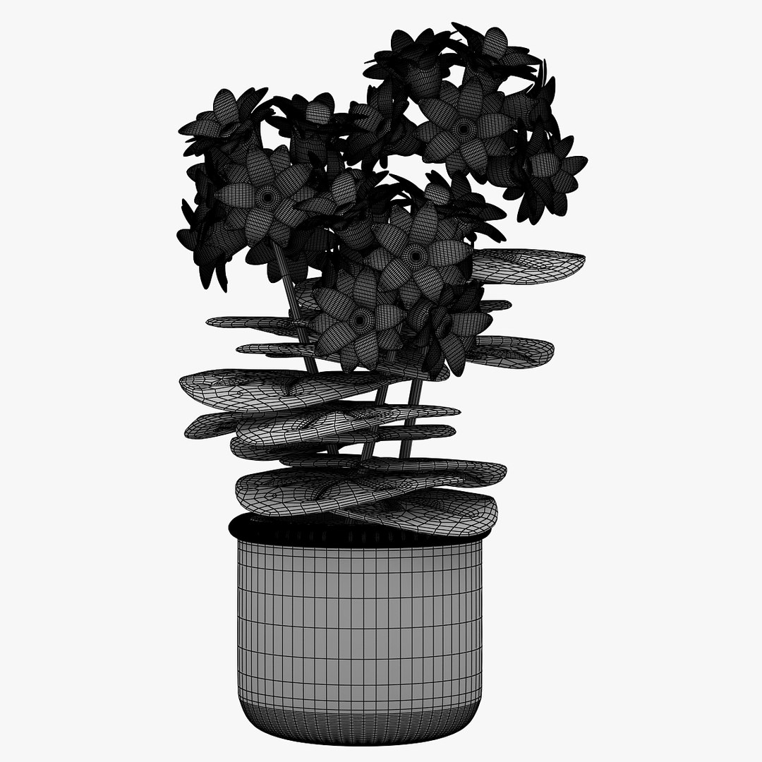 3D model flower https://p.turbosquid.com/ts-thumb/os/7bEHwx/Po7mqHJO/00601/jpg/1565348601/1920x1080/fit_q87/5058511f4060694cda238a7644564736d31494e6/00601.jpg