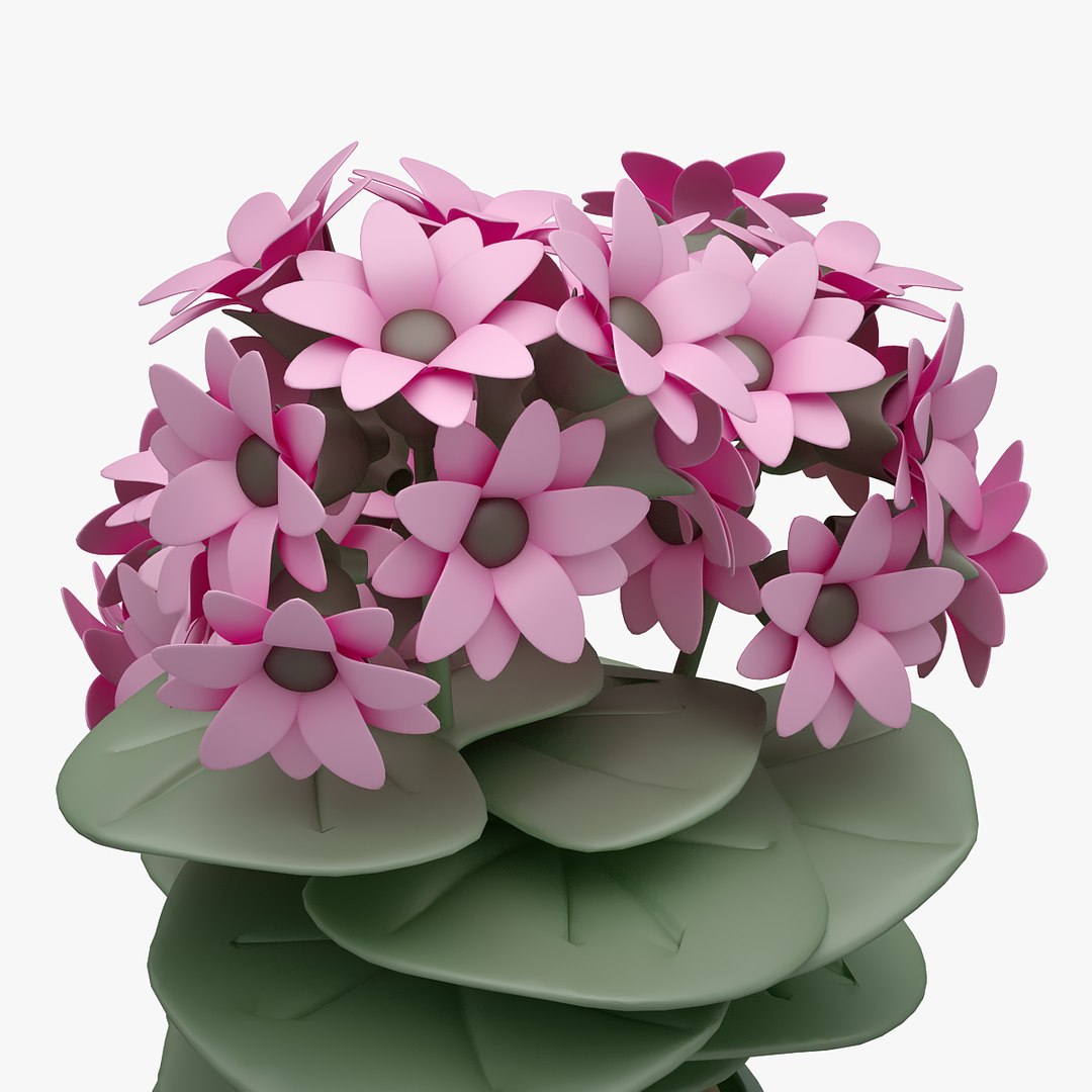 3D model flower https://p.turbosquid.com/ts-thumb/os/7bEHwx/ZYlyw6Ec/00501/jpg/1565348584/1920x1080/fit_q87/bf11039331cae1248ecb8a1a001e6d26bd5b3557/00501.jpg