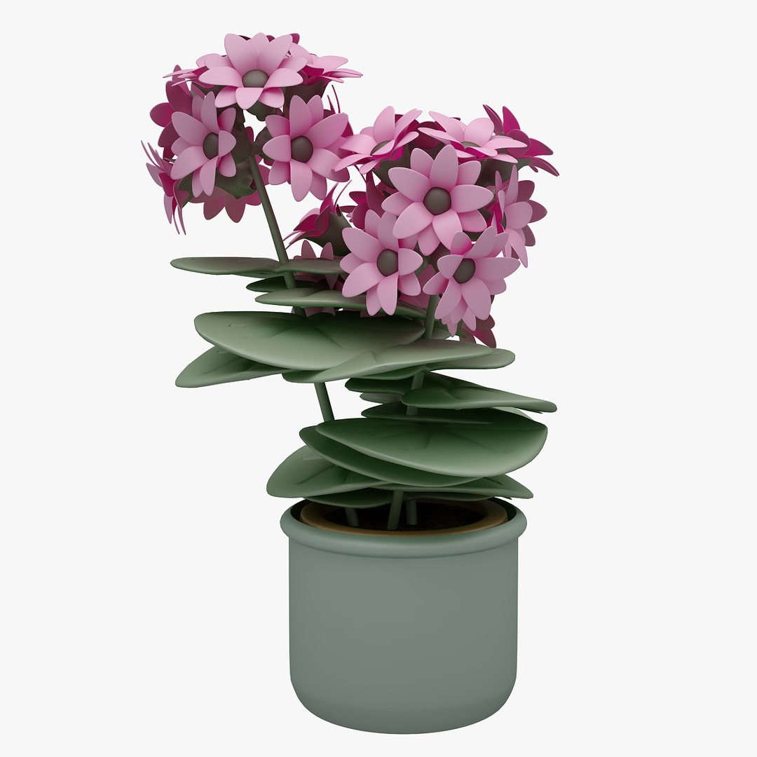 3D model flower https://p.turbosquid.com/ts-thumb/os/7bEHwx/h7rmrXHm/00301/jpg/1565348554/1920x1080/fit_q87/5df0cd88fa0a389e347a10188e5de4140f0e6f5b/00301.jpg