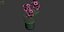Flower 09
