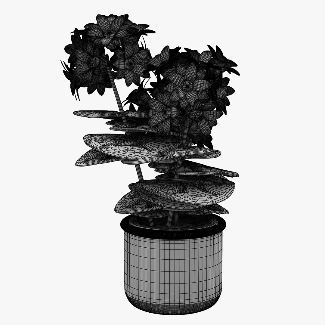 3D model flower https://p.turbosquid.com/ts-thumb/os/7bEHwx/votOmLpL/00801/jpg/1565348635/1920x1080/fit_q87/1c747ac85b62e01f07babea435e096c92cd933fb/00801.jpg
