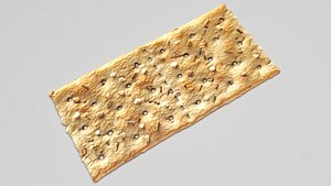 3D model Square Bio Cracker