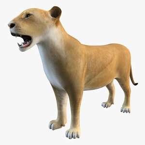 3d model lioness animal