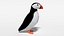 Low Poly Cartoon Puffin