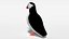 Low Poly Cartoon Puffin