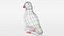 Low Poly Cartoon Puffin