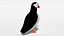 Low Poly Cartoon Puffin