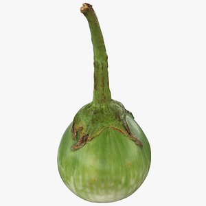Round Green Eggplant 01 Raw Scan 3D model