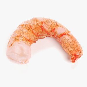 Shrimp