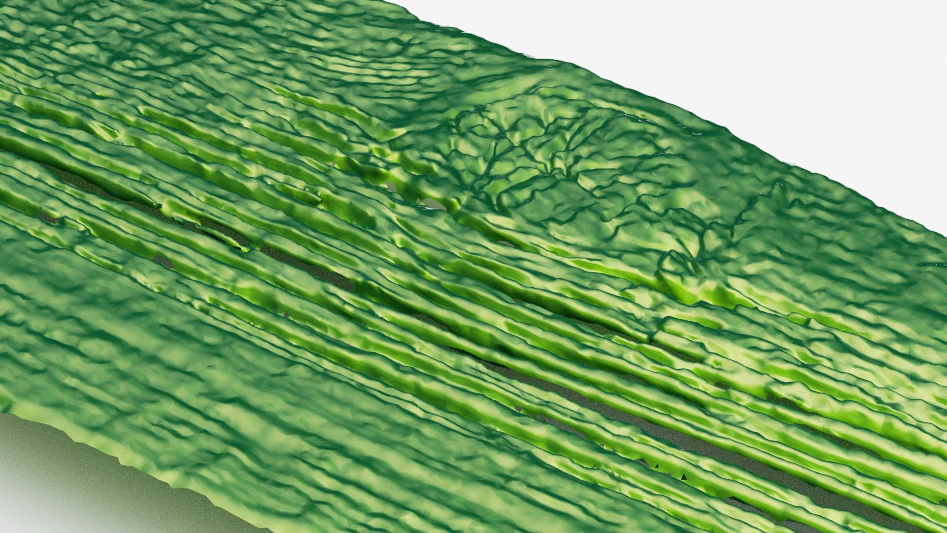 3D Ancient Wooden Plank surface v3 model https://p.turbosquid.com/ts-thumb/os/dhLYme/CD/026plankofwood_v3w_0006/jpg/1750083557/1920x1080/fit_q87/cd2add19c0a1efbc3750ace6f82a5cdd7708f44f/026plankofwood_v3w_0006.jpg