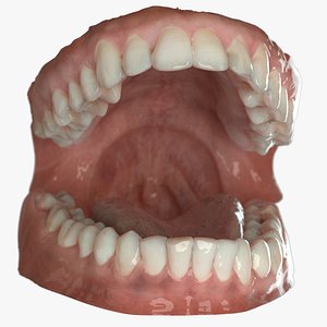 dentures C