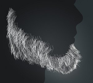 3D Beard RealTime 6 Version 1