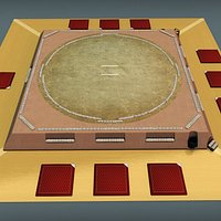 Sumo ring dojo sport