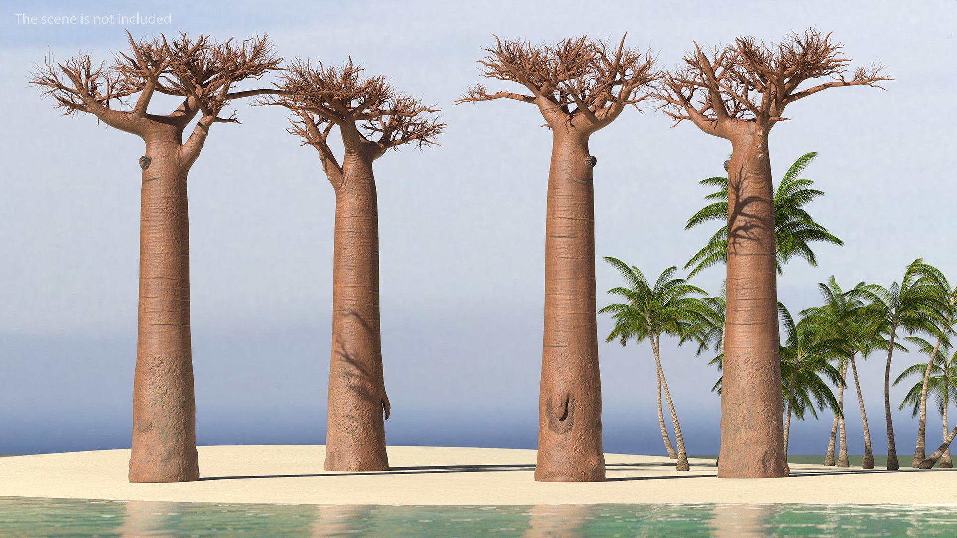 Naked Baobab 3D model preview