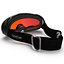 Ski Goggles