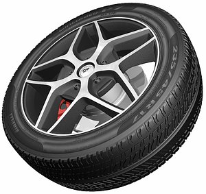 Wheel