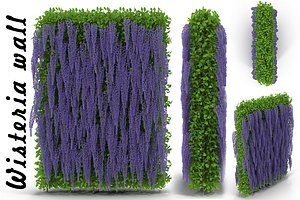 3d model wisteria wall flowering