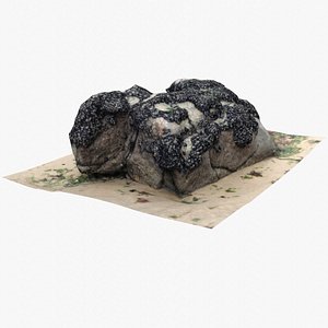 Rock 3D Scan 20