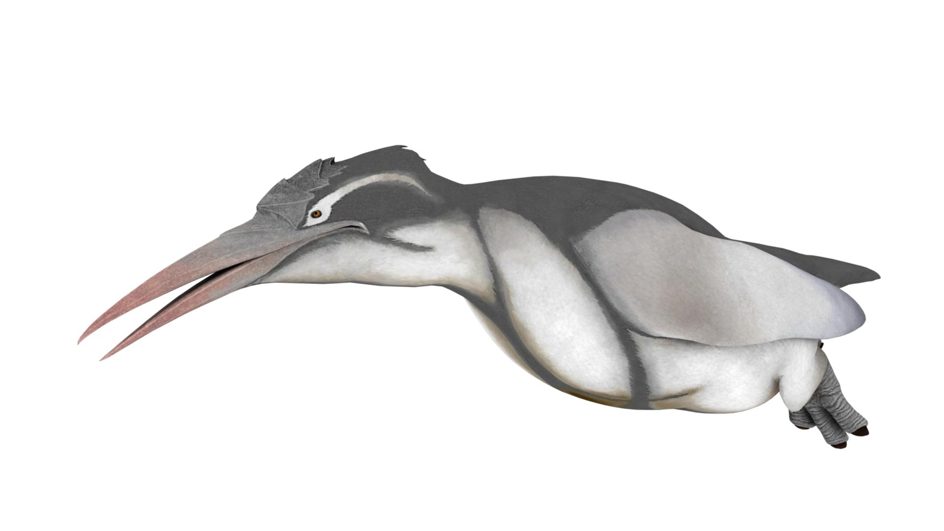 Penguin model https://p.turbosquid.com/ts-thumb/ot/MK8BHb/24/dfs0081/jpg/1733160583/1920x1080/fit_q87/169108df7eff84604644eb94b463efbce3594ce1/dfs0081.jpg