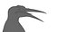 Pingüino