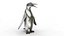 Pingüino