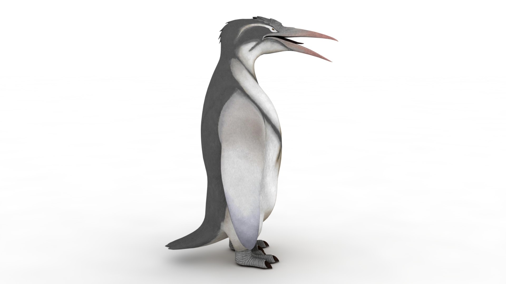 Penguin model https://p.turbosquid.com/ts-thumb/ot/MK8BHb/ZI/dfs0004/jpg/1733160579/1920x1080/fit_q87/ad42ba23da9c84b566bbff98bae3f5841ac88598/dfs0004.jpg