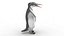 Pingüino