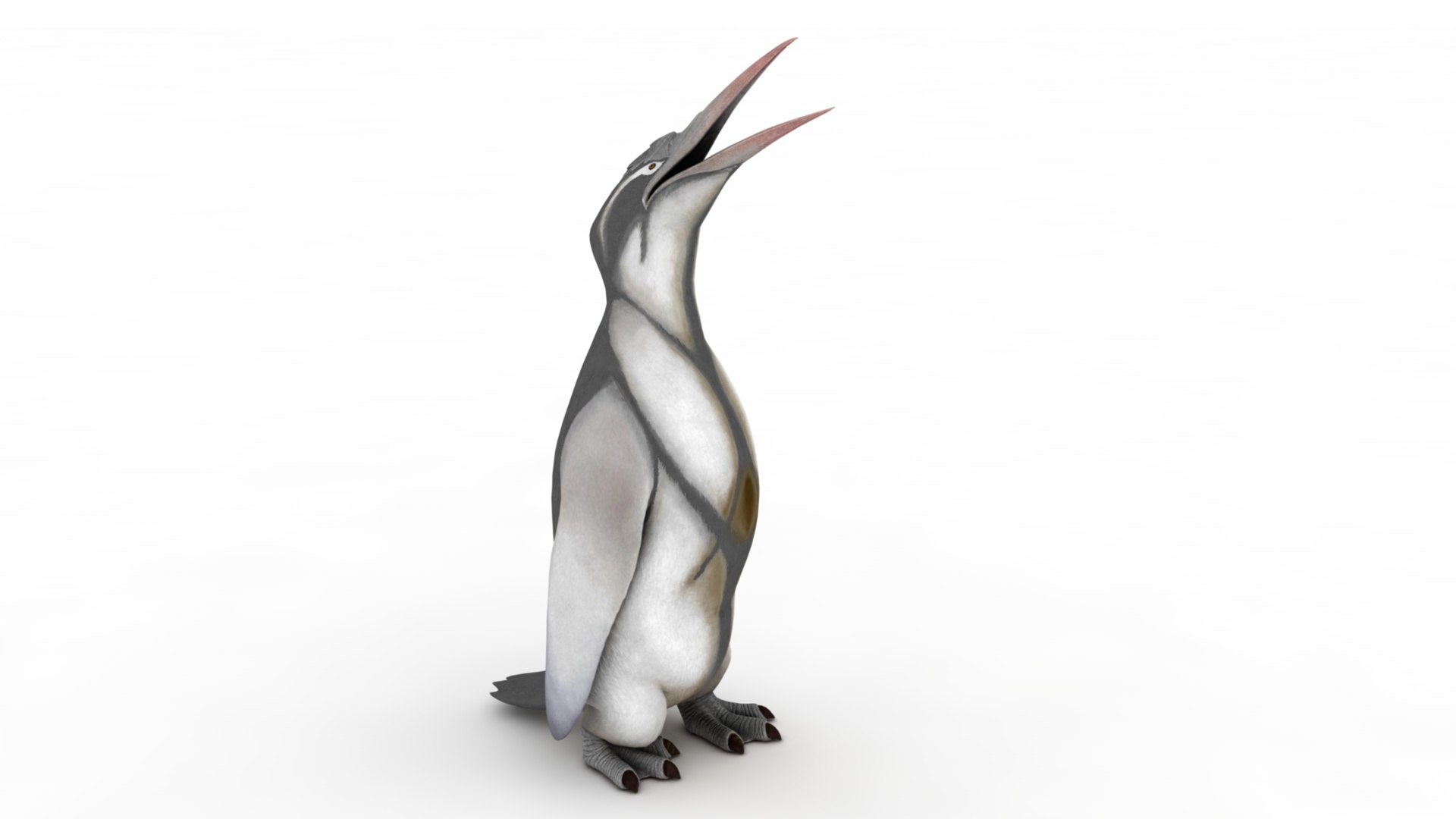 Penguin model https://p.turbosquid.com/ts-thumb/ot/MK8BHb/iR/dfs0046/jpg/1733160583/1920x1080/fit_q87/316791510ab63b0128c0d1947381f571d69ff387/dfs0046.jpg