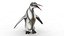 Pingüino