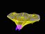 space ship design