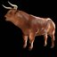 Brown Bull Ox Rigged Low Poly