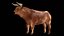 Brown Bull Ox Rigged Low Poly