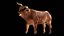 Brown Bull Ox Rigged Low Poly