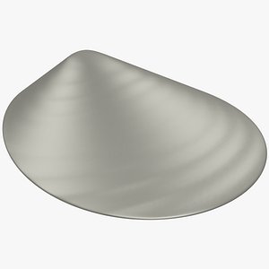 3D seashell sea shell