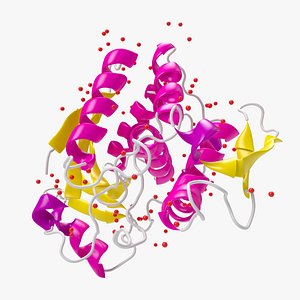 3D ricin structure model