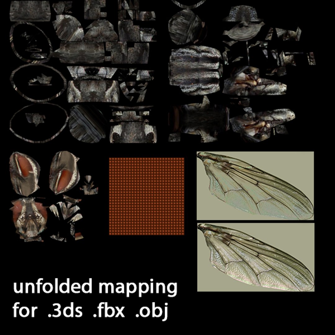 3d Rigged Animation