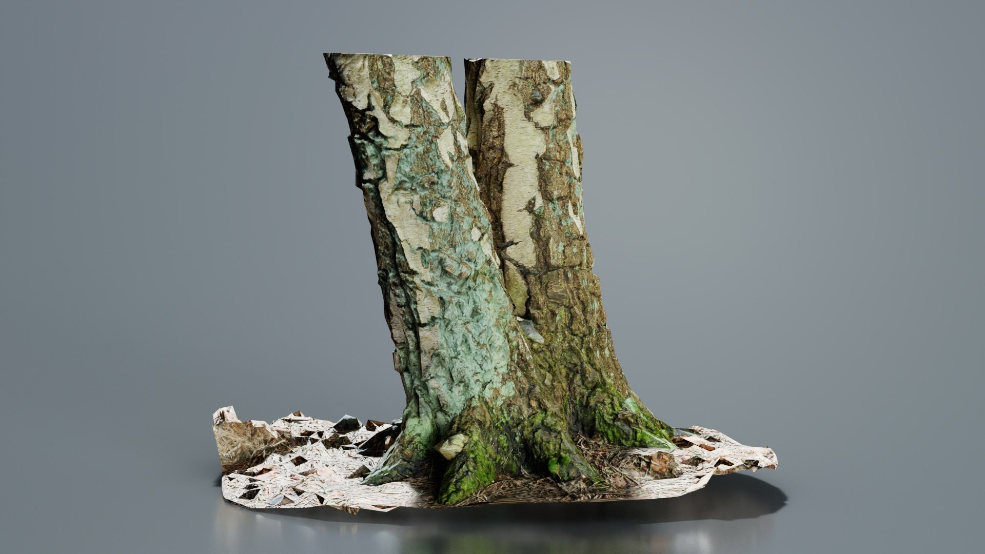 3D Split Tree Foundation Stump Remastered Model - TurboSquid 2363148